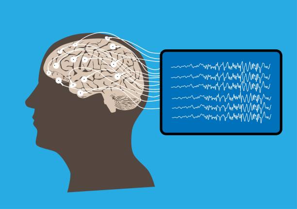 Concept of human brain and electroencephalography recording Illustration of human brain and electroencephalography or EEG recording and brain waves eeg stock illustrations