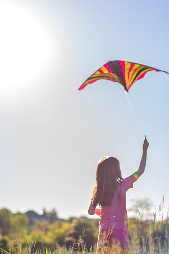 Playful little girl playing whit kite in nature