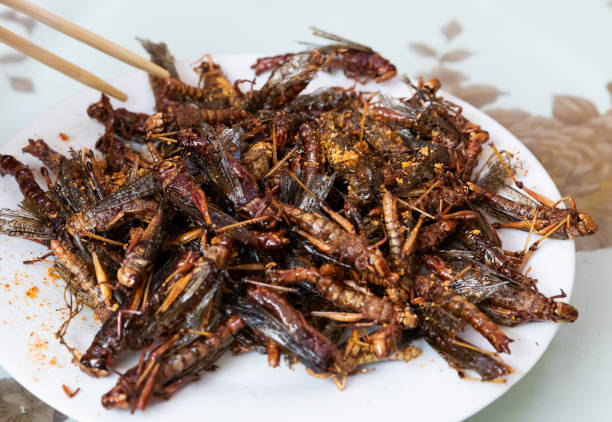 langostas fritas, insectos fritos, comida callejera china - grillo fotografías e imágenes de stock