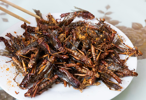 Fried locusts, fried insects, Chinese street food