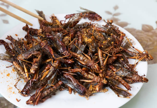 Fried locusts, fried insects, Chinese street food stock photo