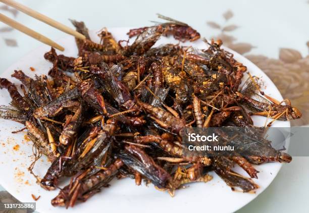 Fried Locusts Fried Insects Chinese Street Food Stock Photo - Download Image Now - Cricket - Insect, Food, Locust
