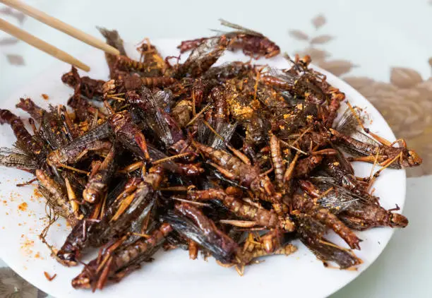 Photo of Fried locusts, fried insects, Chinese street food