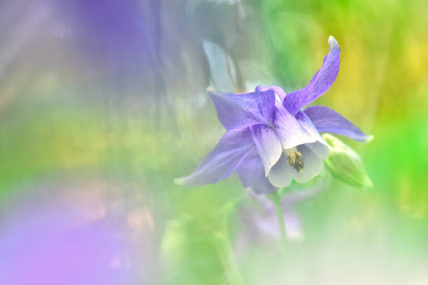 istock blooming over the biofilm 1331738129