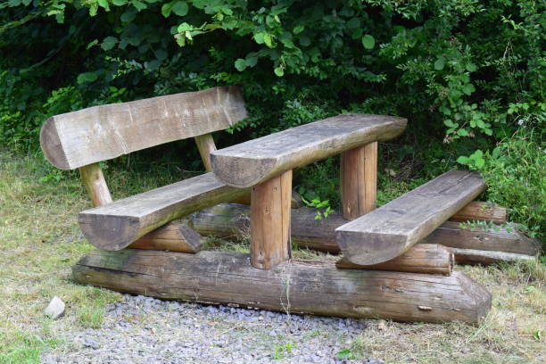 istock wooden park bench 1331740119