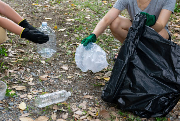 istock Human hand collect plastic waste in trash bags for the environment