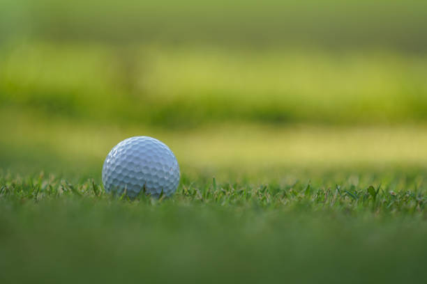 istock Golf ball on the green in the evening golf course with sunshine. 1331743312