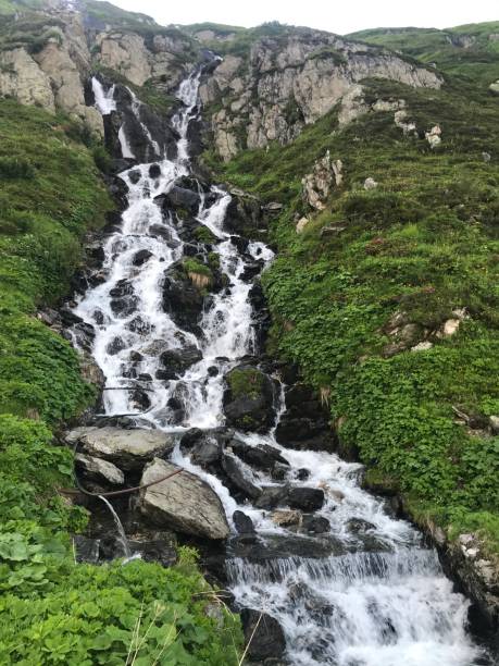 splendida cascata in estate circondata da un verde lussureggiante - waterfall falling water maggia valley switzerland foto e immagini stock