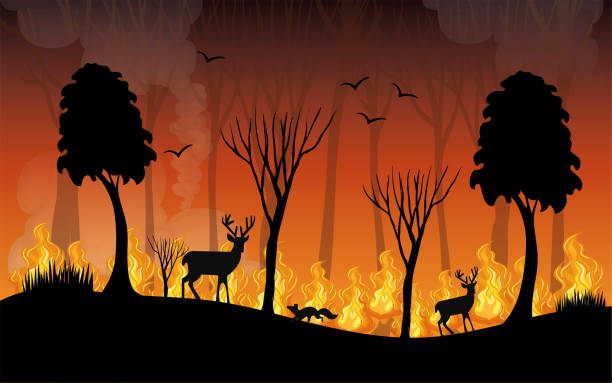 Fire night and wild animal silhouette vector. Flat vector illustration of dangerous forest fires in mountain area. Fire flame and burning trees concept. fire lit by humans. animal life is threatened. Vector of fire in the forest with no distant buildings in the city center. Dense trees and fire and lava in mountainous climate zone. A drawing of a deer standing alone in the middle of the burning bush. Wild and endangered animals due to fire. Trees and deer black silhouette illustration. The destruction of the forest and nature, the disappearance of the concept of wild and natural life. Fire lit by humans. animal life is threatened. Turkey , antalya, mugla, bodrum, fire in the provinces, Forest fire concept. forest fire stock illustrations