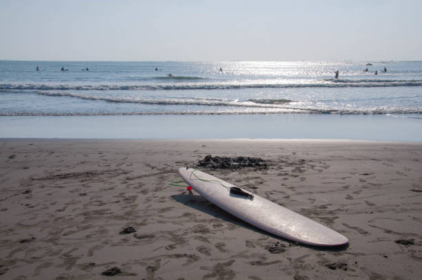 istock Surfboards isolated on the beach. 1331751455
