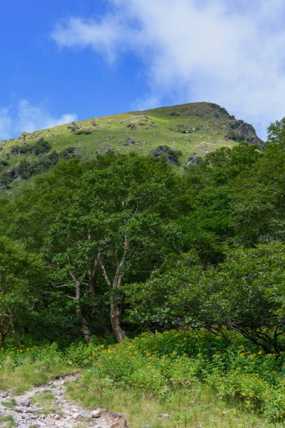 istock Mt. Nikkoshirane and the mountain trail 1331752193