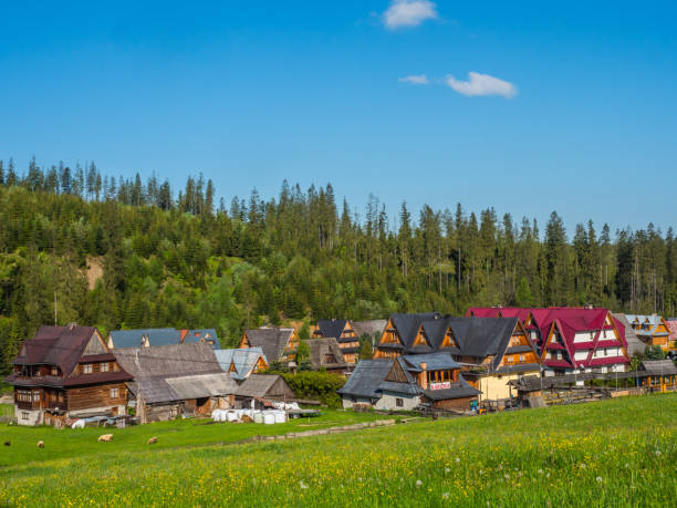 istock Tatra mountin, Poland 1331753826