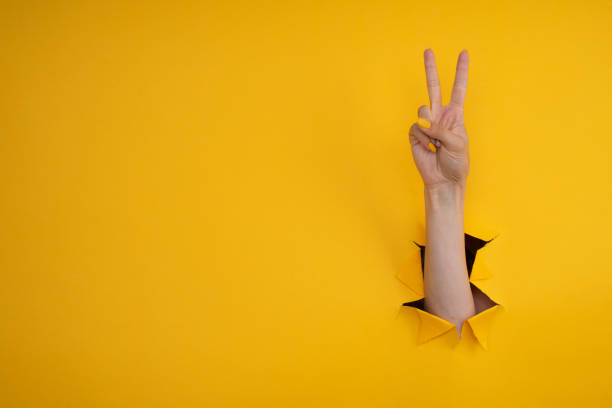 istock Hand showing peace gesture through torn yellow paper background. Victory, V sign. 1331753903