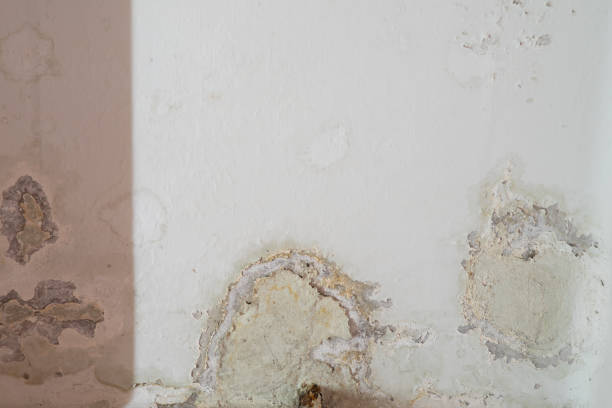 istock Water damaged ceiling roof, brown stain, office building 1331754886