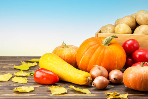 istock Fresh organic vegetables on wooden table on blue sky background with copy space. 1331755531