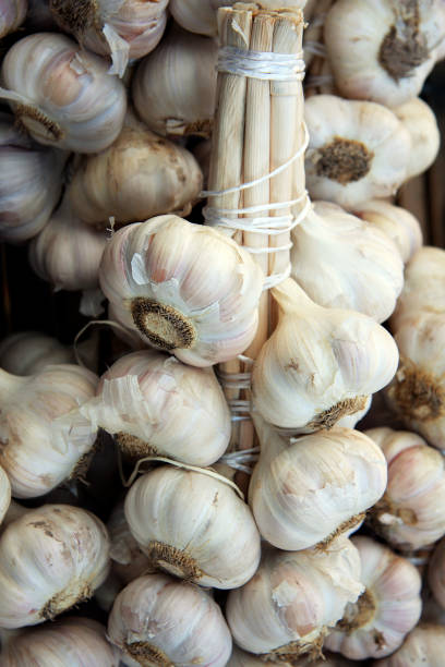 istock Bundles of garlic 1331756258