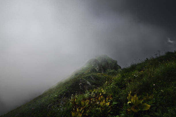 Free Stock Photo of Mountain Covered in Fog | Download Free Images and ...