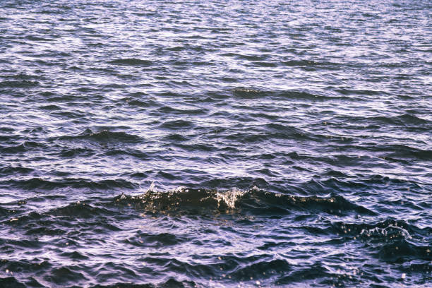Wave pattern surface fresh or sea reservoir. Wallpaper background of lapping river waves on water surface sea or ocean waves. Backgrounds nature wallpapers concept. Photo ripples lake. Copy space