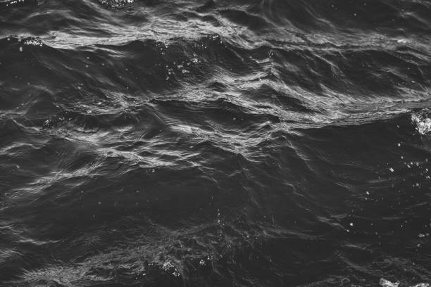 istock Wallpaper background of lapping river waves on water surface sea or ocean waves 1331758850