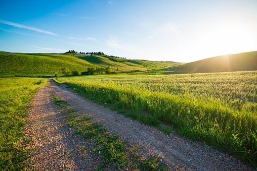 Rolling summer landscape with green grass field under blue sky