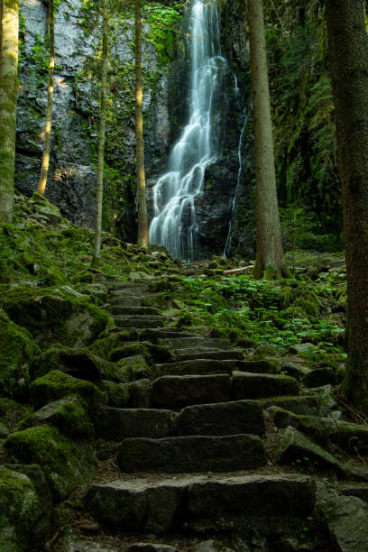 incroyable cascade à triberg, en allemagne. merveilleux natur au coeur de la forêt-noire. image épique à longue exposition qui ressemble à l’eau est gelée. beau paysage en allemagne - triberg photos et images de collection