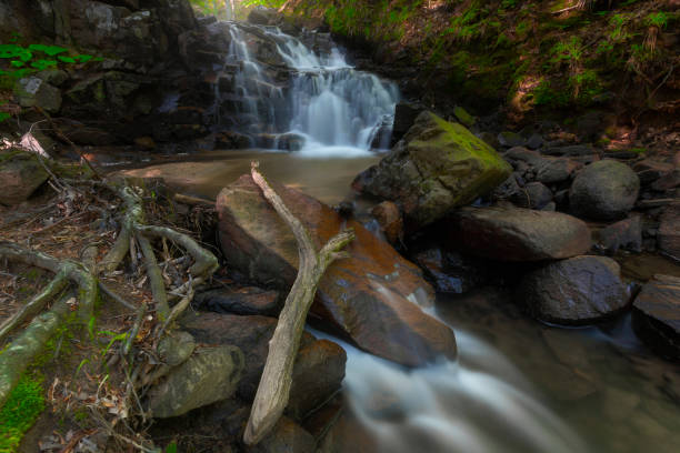 istock It's summer time.  Green trees and plants.  Great waterfall view. 1331763102