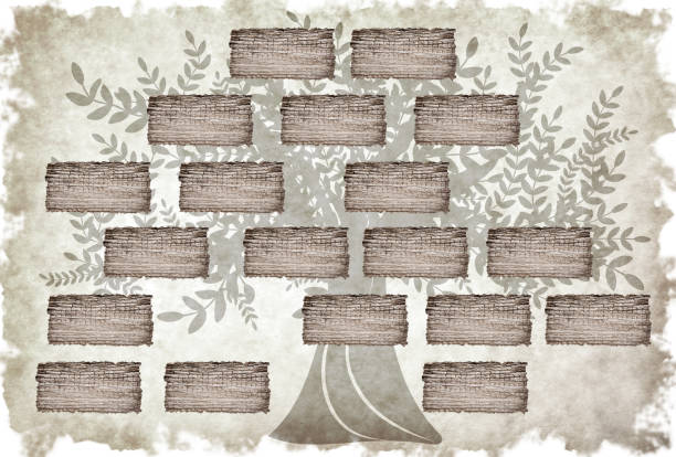 istock Family tree with empty frames for photos in vintage style, illustration. Space for design 1331764017
