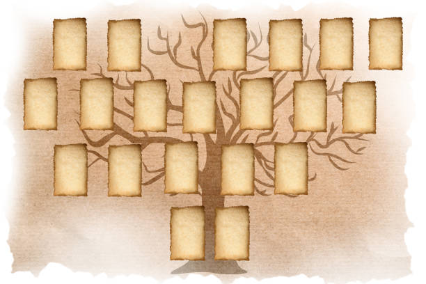 istock Family tree with empty frames for photos in vintage style, illustration. Space for design 1331764021
