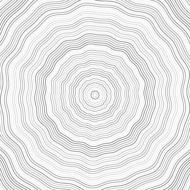 Vector illustration of Tree rings, trunk cross section