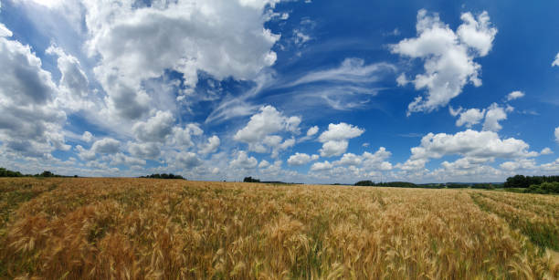 istock scenic panorama view of natural landscape under a cloudy sky 1331766411