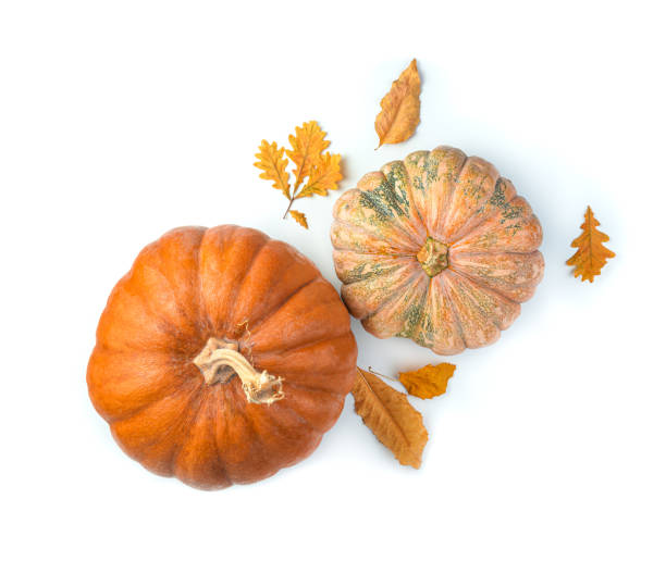 istock Pumpkins and autumn foliage on a white background 1331767681