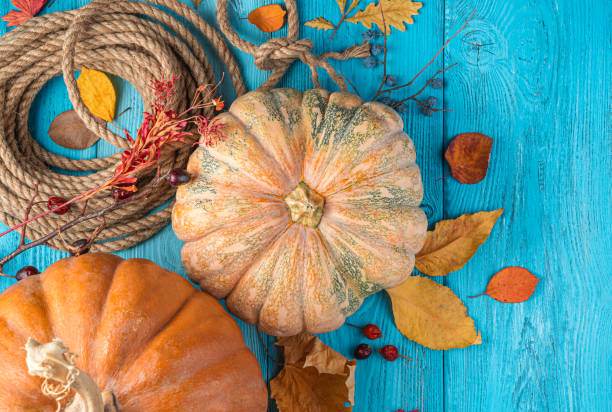 istock Pumpkins, autumn foliage and berries on a blue background. Top view, copy space 1331771790