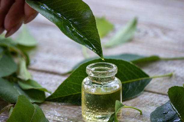 herbal essential oil in a small bottle stock photo