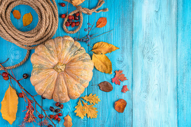 istock Pumpkin and autumn foliage on a bright blue background 1331772658