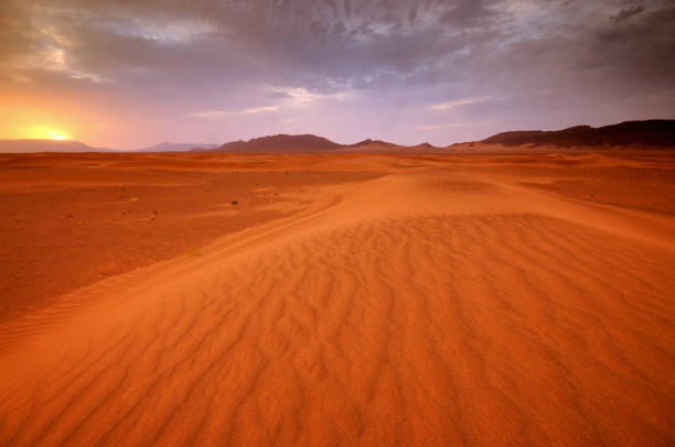 istock Sahara Desert Sunrise, Morocco, North Africa 1331774916