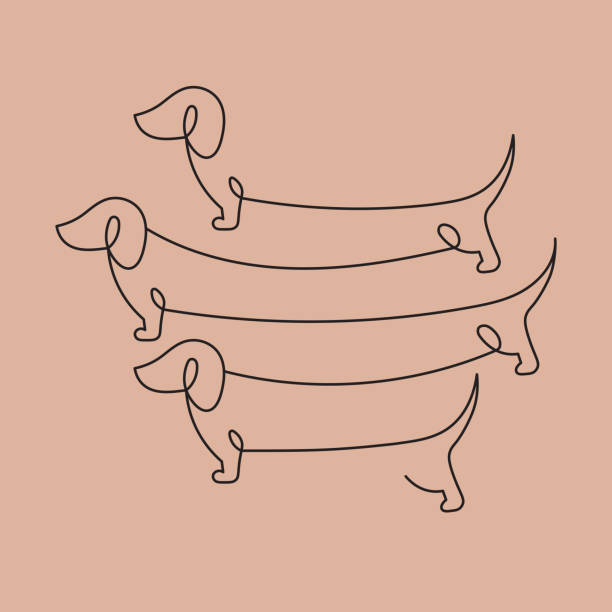 test iluzji optycznej, ikona psa - dachshund stock illustrations