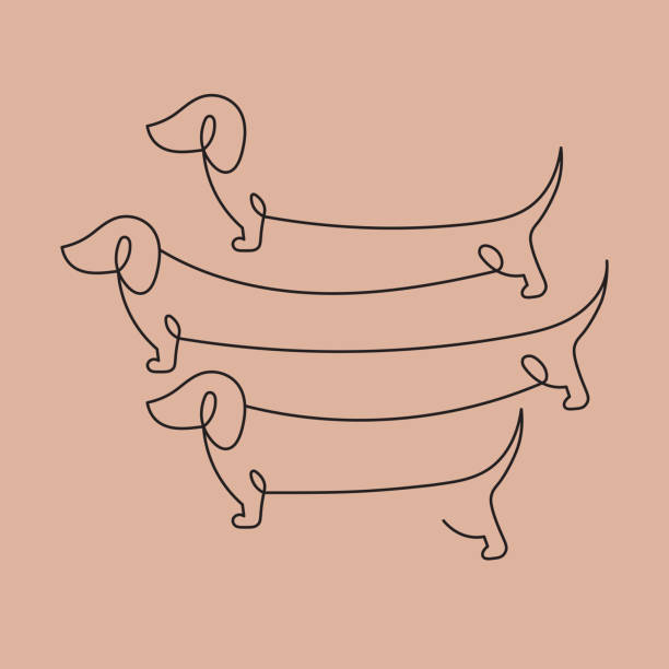 Optical illusion test, dog icon Line design, editable stokes. Vector illustration, EPS 10 dachshund stock illustrations