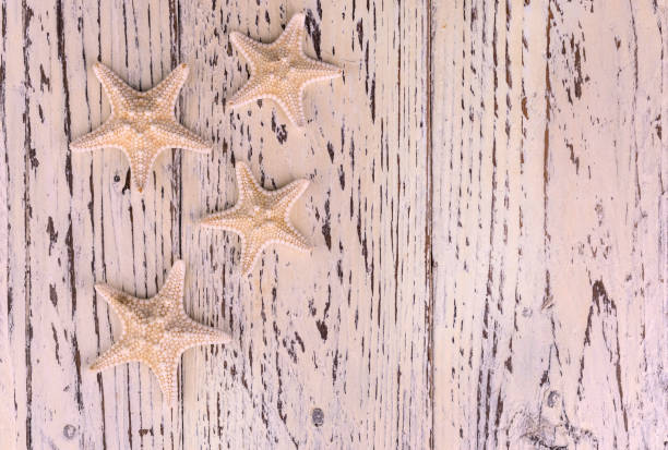 istock Starfishes on old light wooden background. Copy space. 1331777725