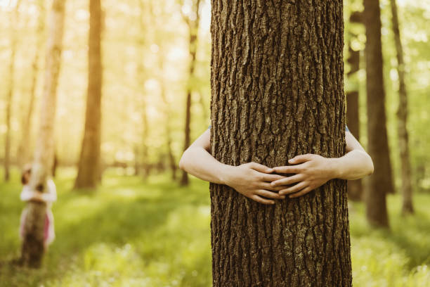 Kids embracing tree trunks in forest Boy and girl embracing tree trunks in the forest anonymous activist network stock pictures, royalty-free photos & images