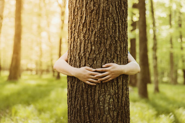 Boy embracing tree in forest Boy embracing tree trunk in forest anonymous activist network stock pictures, royalty-free photos & images