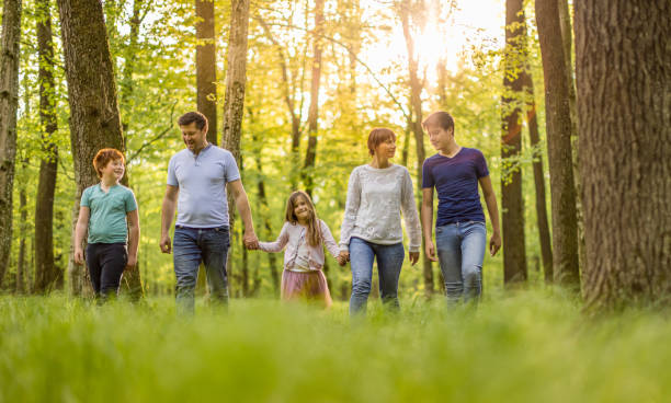 istock Happy family walking in forest 1331778016