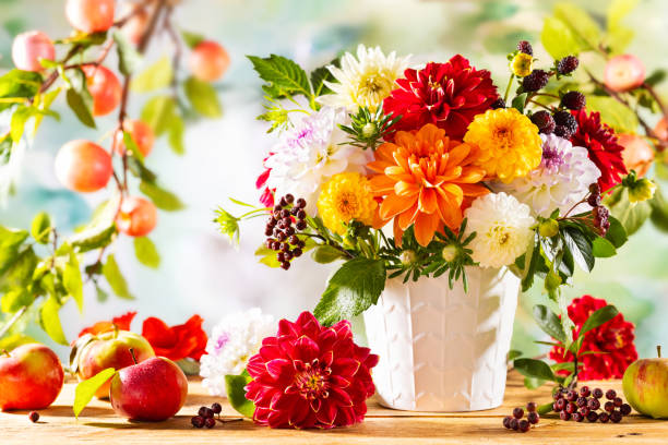 istock Autumn still life with garden flowers. 1331778073