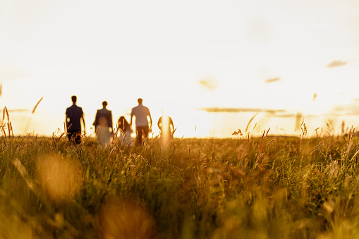 Silhouette of family walking on field during sunset