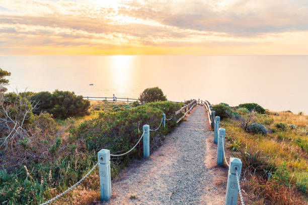 marion coastal walking trail bei sonnenuntergang - maroon stock-fotos und bilder