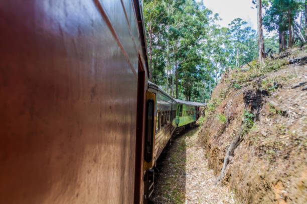 istock Train rides through Horton Plains National Park, Sri Lan 1331780431