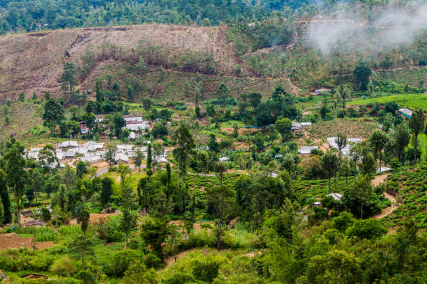 istock Small settlement near Haputale, Sri Lan 1331780444