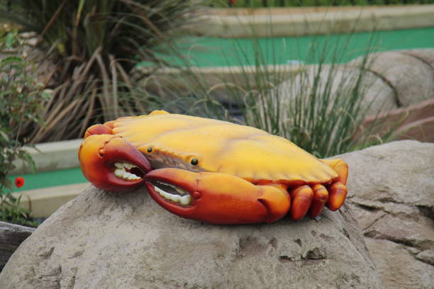 Model of an Orange Crab.