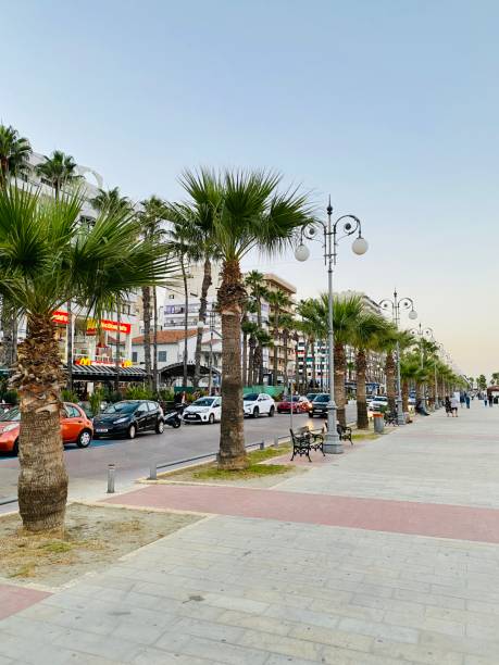 istock Palm tree promenade Larnaca Finikoudes 1331789006