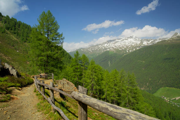 南チロルのイタリアアルプスの山道に沿った木製のフェンシング - country road fence road dolomites ストックフォトと画像