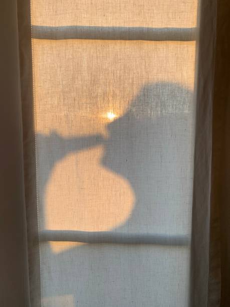 istock Girl - Shadow - Drink - Sunset 1331791271